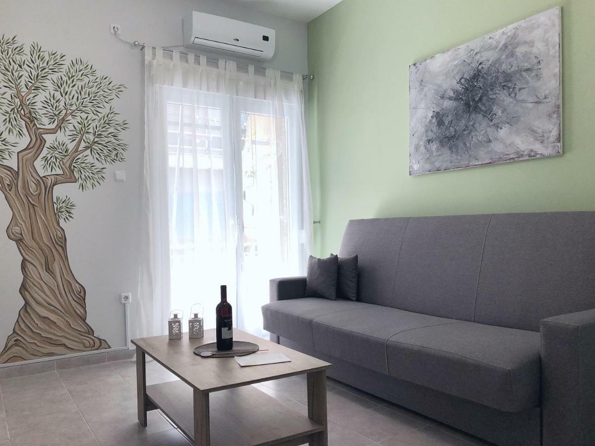 Olive Tree Apartment Of Athens - City Center מראה חיצוני תמונה